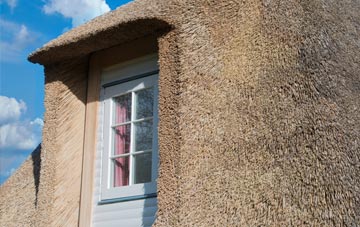 Cury thatch roof disadvantages