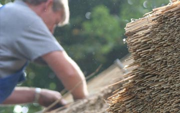 professional Cury thatchers