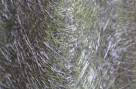 Cury fibreglass roof work